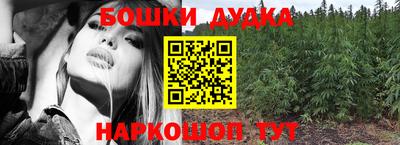 гидра Лесосибирск