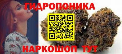 гидра Лесосибирск