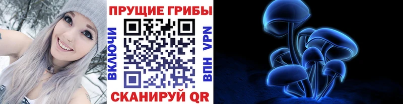 Псилоцибиновые грибы Psilocybe Десногорск