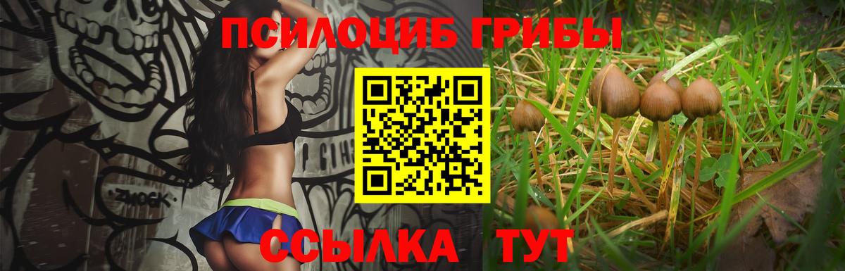 Галлюциногенные грибы MAGIC MUSHROOMS  Галлюциногенные грибы Magic Shrooms  Десногорск  Вход с VPN 